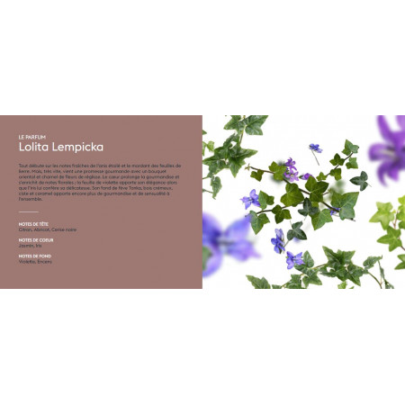 Lolita Lempicka - Recharge Lampe Berger